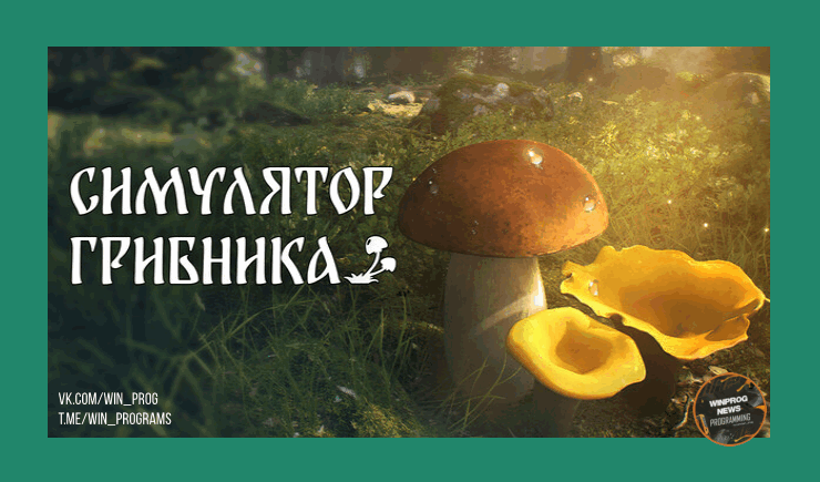 В Steam выйдет расслабляющий симулятор грибника — Mushroom Hunter Simulator!