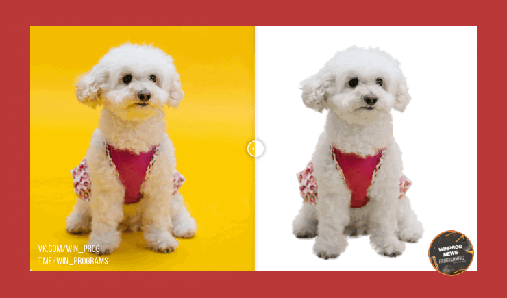 Легко убираем фон с любого изображения — сервис ImgProcessor в деле!